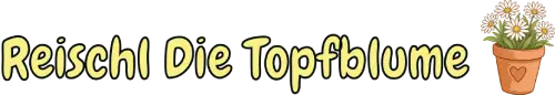 Reischl Die Topfblume Duderstadt